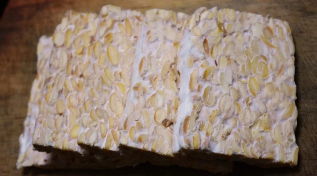 Affiche : Initiation à la fabrication du Tempeh