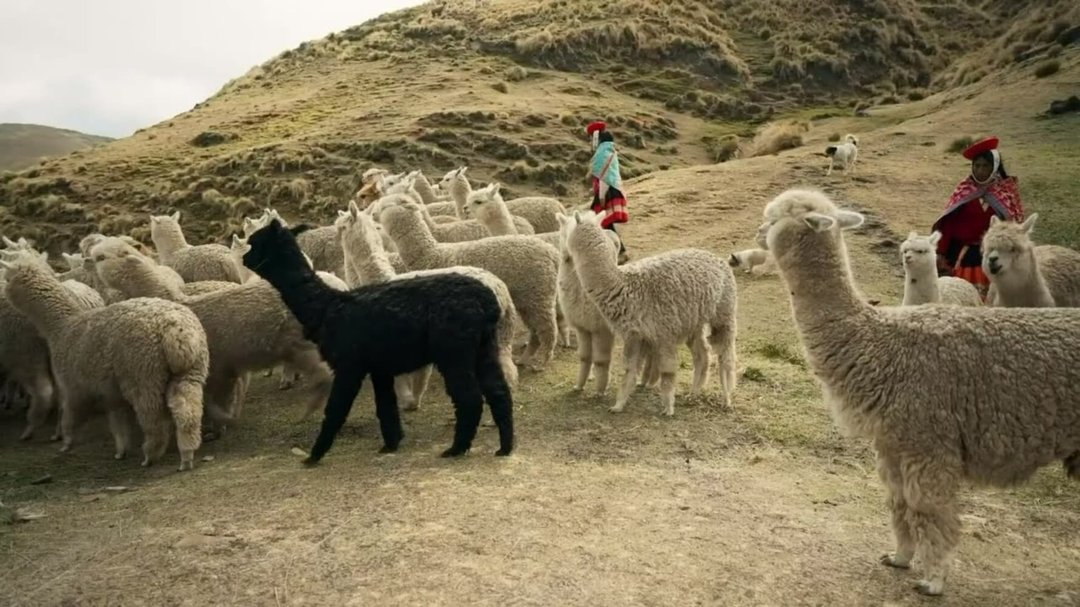 Poster: Peru, from Sacred Peaks to the Root of the World